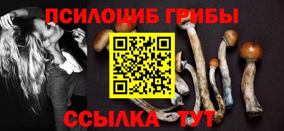 Когалым  Псилоцибиновые грибы MAGIC MUSHROOMS  дарнет шоп  Галлюциногенные грибы MAGIC MUSHROOMS  Вход с VPN 